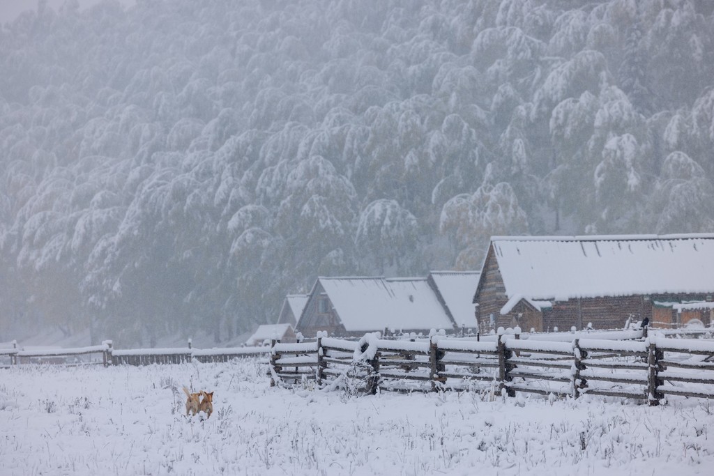 社会边界是什么？